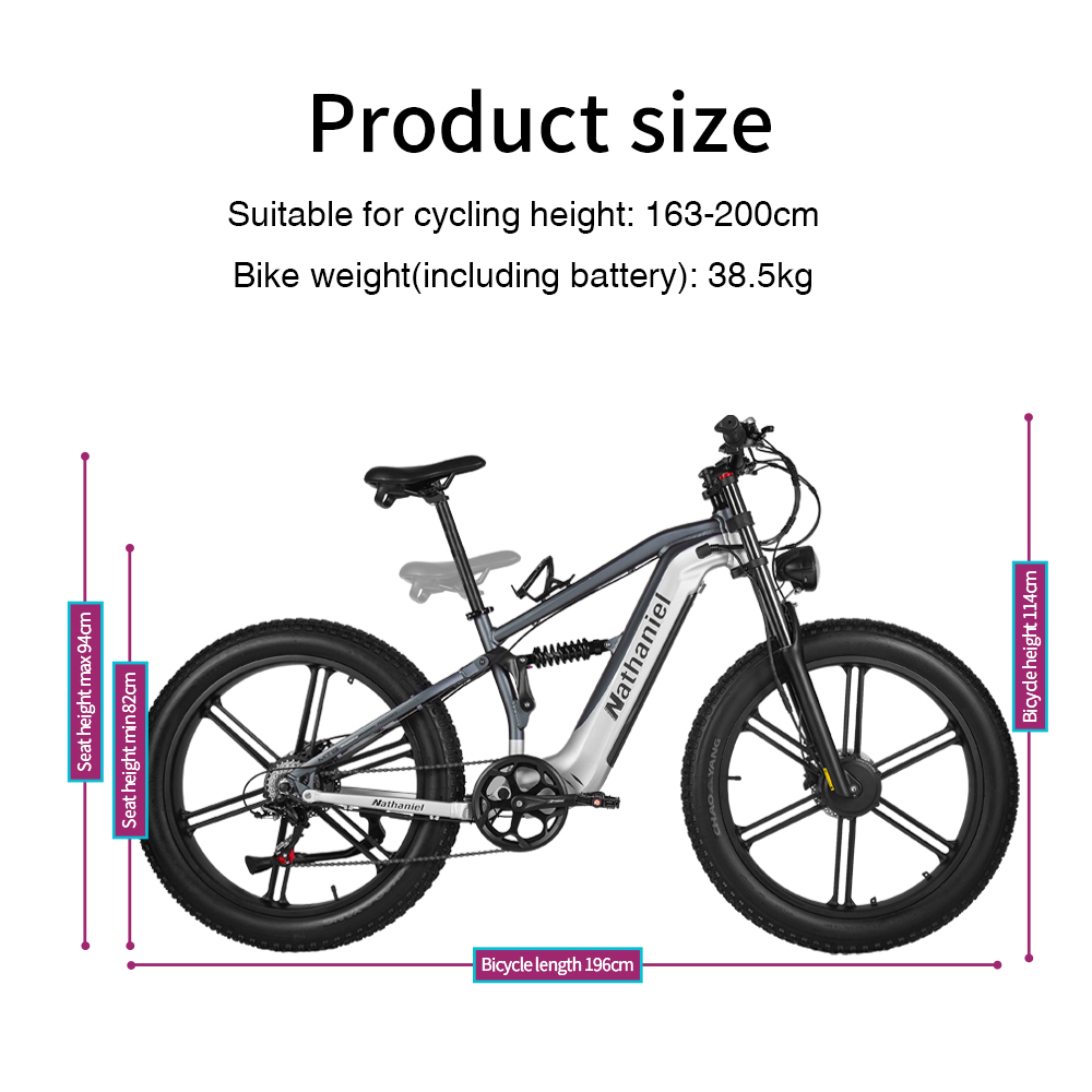 Nathaniel SYR09 Electric Bike  - đánh giá và giá Dual Motor Ebike Kit 2000W
